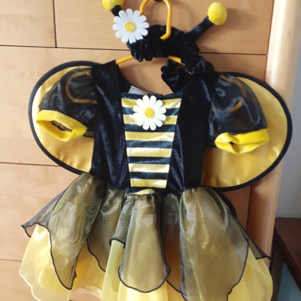 Holloween or dress up Bee costume